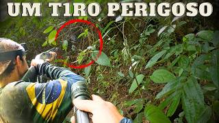 PRECISÃO EXTREMA | JAVALI BRASIL