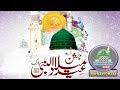 Hum Apne Nabi Paak Se Yu Pyar Karege