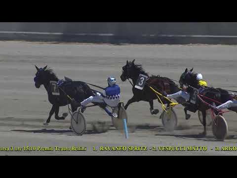 III Corsa - Premio Teatro Bellini - 16 Giugno 2021