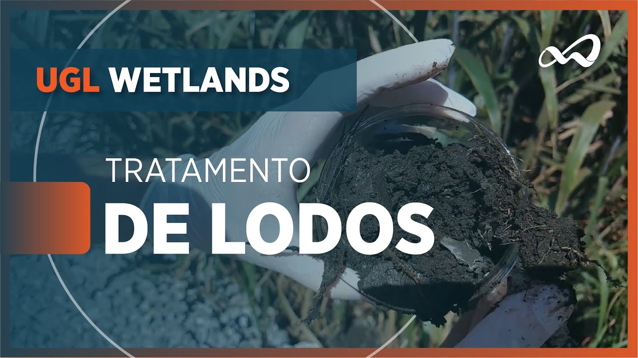 WETLANDS CONSTRUÍDOS PARA TRATAMENTO DE LODOS