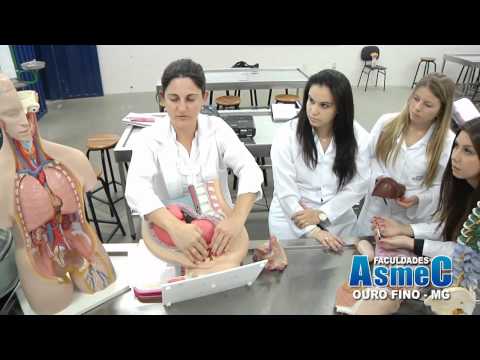 FACULDADES INTEGRADAS ASMEC DE OURO FINO - 2012