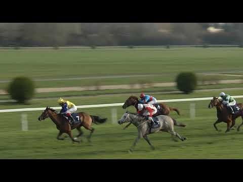 3. dostih - 75. St. Leger - dostihy Chuchle Arena Praha 21. 11. 2020