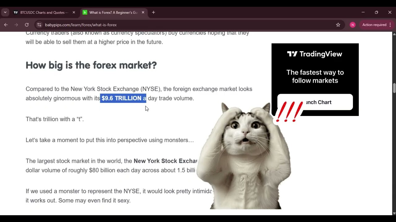 Day 1: What is Forex? (BabyPips 2026)