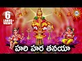 హరి హర తనయా Ayyappa Hit Song Ayyappa Devotional Songs Disco Recording Company
