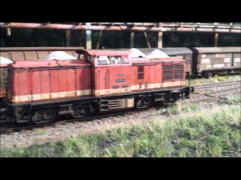 V100 von Roco  im Einsatz