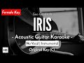 Iris Karaoke Acoustic Goo Goo Dolls HQ Audio