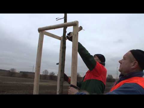 VDE 8.2 NEUBAUSTRECKE: Ausgleichs- und Ersatzmaßnahmen bei Öchlitz im Saalekreis