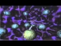 Shiva Moon (Moon Nectar Remix) Clip 5.mov
