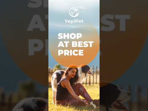 YepiPet: Smart Pet Care video thumbnail