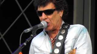 In the Summertime, Mungo Jerry - with Status Quo at Betley, 9th August 2013