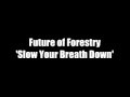 Slow Your Breath Down by Future of Forestry ...