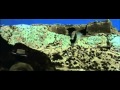 Dieu Pardonne Moi Pas Film Vf Complet