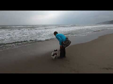 Skunky's on the beach