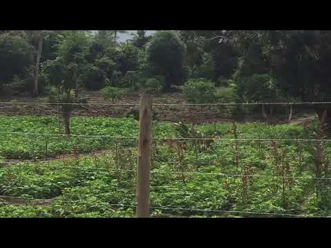 WhatsApp Video 2022 08 21 at 9 48 06 PM