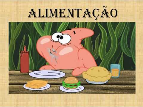 Classificação dos alimentos e os nutrientes existentes