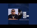 Pega Pega Aqui Brega Funk Remix