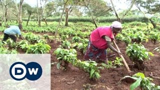 The Mubende coffee plantation and the bitter taste of eviction | DW Documentary