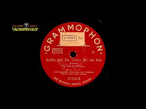 Schön, daß Du wieder bei mir bist - Bar Trio - Foxtrott