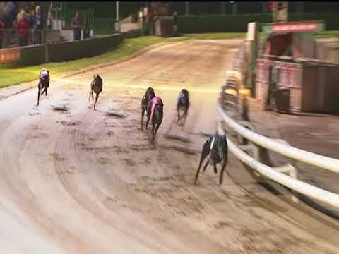 2017 LADBROKES GOLD CUP FINAL - T3 DROOPYS BUICK