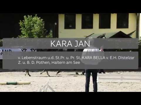 11 KARAJAN