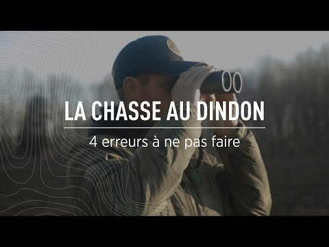 La chasse au dindon sauvage | Les erreurs à ne pas faire