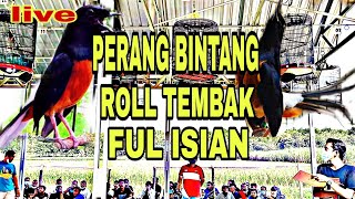 Download lagu SIMULASI LOMBA MURAI BATU TERBARU FULL MATERI | Tembakan jelas || murai macet pasti nyaut auto gacor mp3