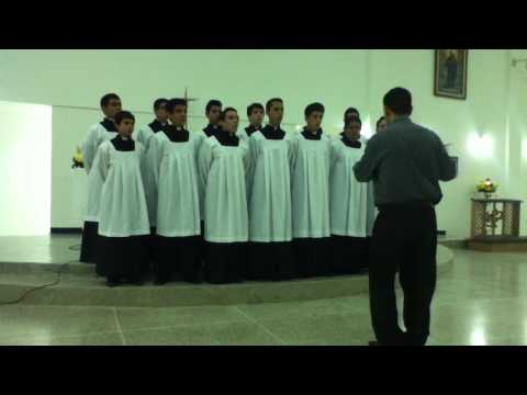 NIÑOS CANTORES DEL ZULIA. O quam amabilis. (voces oscuras)