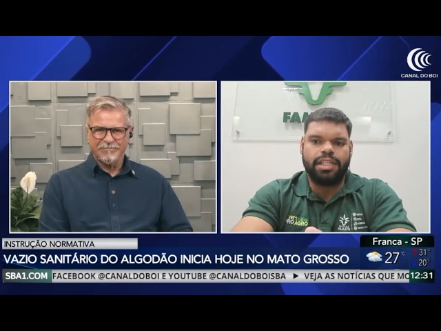 VAZIO SANITÁRIO DO ALGODÃO INICIA HOJE NO MATO GROSSO