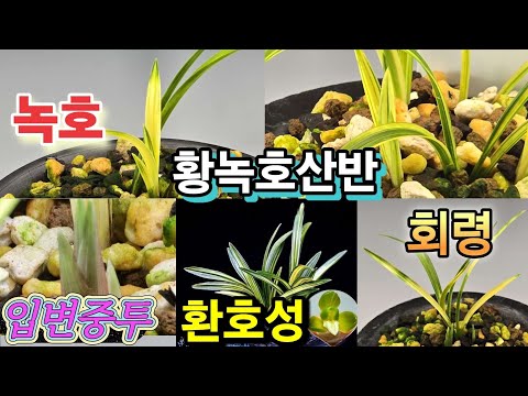 유튜브 썸네일