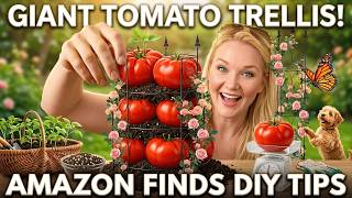 DIY How to SetUp Your Garden Trellis and Save Space