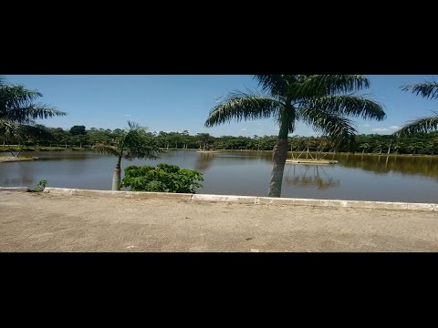 Porque há esperança video