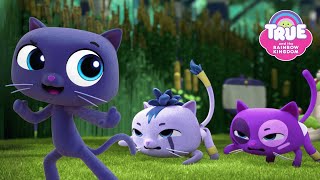 Download lagu Ninja Cat Bartleby to the Rescue! 🐈  | True and the Rainbow Kingdom | Cartoon Cats for Kids mp3
