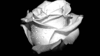 Silent Sea (In loving memory)