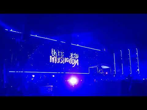 Infected Mushroom @ EDC Mexico 2022 Day 3 playing "Infected Mushroom -  I Wish"