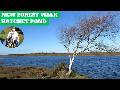 NEW FOREST WALK at EAST BOLDRE, HATCHET POND & RAF BEAULIEU (NEW FOREST NATIONAL PARK) (4K)