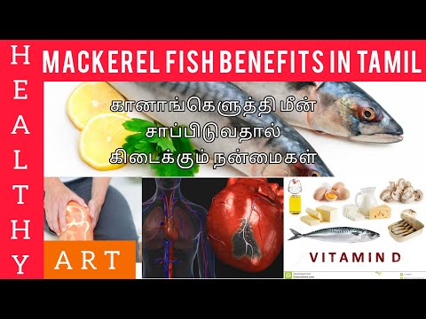 , title : 'MACKEREL FISH BENEFITS/BENEFITS OF MACKEREL FISH/HEALTH BENEFIT/HEALTHY ART/LIVE THE HEALTHY LIFE'