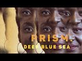 Art In The Studio: Prism. Breakdown Of A Canvas - Deep Blue Sea
