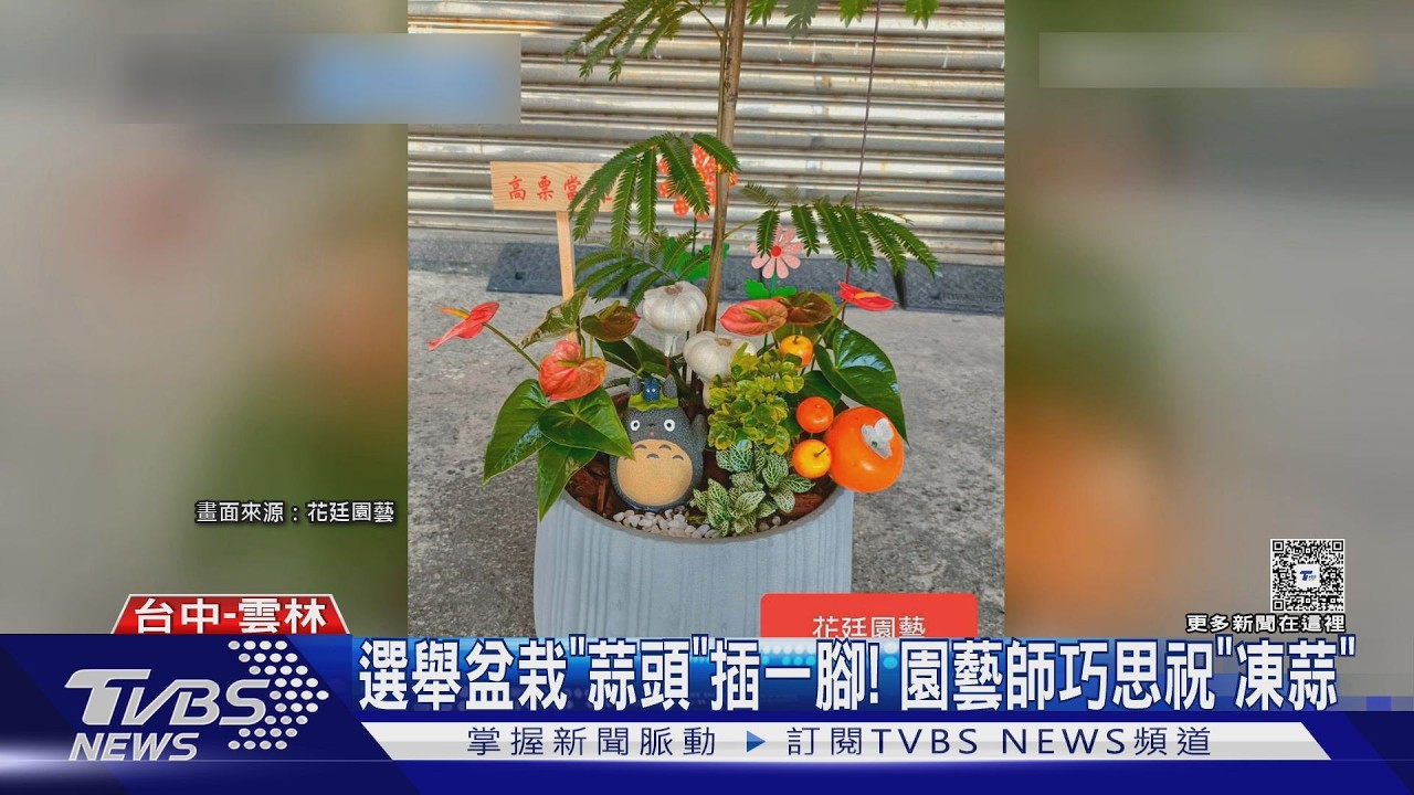 影音／選舉創意小物夯！　果凍蒜頭「凍蒜花」好美　可樂印「高票當選」