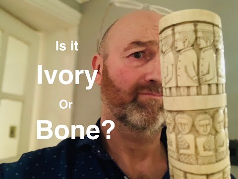 Is it Ivory or Bone? (I’ll show you how to tell) by David Harper