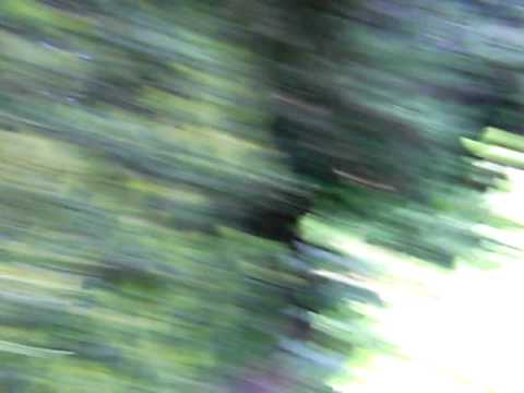 de ontzichtbare killers