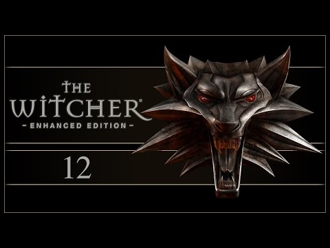 Let's Play The Witcher (Enhanced Edition) - Ep.12 - The Vizima Cemetery!