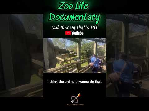 Zoo animals can escape or attack. they don&rsquo;t because they are drugged or they are mentally slaves.