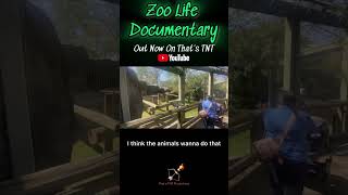 Download lagu Zoo animals can escape or attack. they don’t because they are drugged or they are mentally slaves. mp3 Download lagu Zoo animals can escape or attack. they don’t because they are drugged or they are mentally slaves. mp3