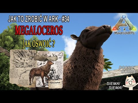 Jak zrobić to w ARK? [#34] MEGALOCEROS - JAK OSWOIĆ?