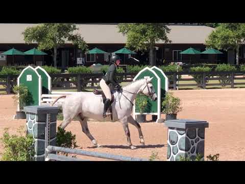 First hunter round - Golden Glock WS