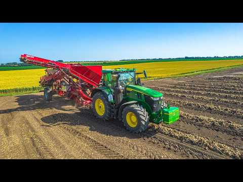 Sklizeň cibule | Rodinná farma Pilařovi | 4x John Deere-8R,7R,6R & 8230 | 3x ZDT | Asa-Lift