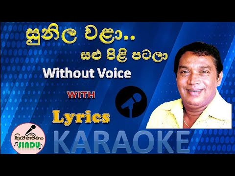 සුනිල වලා | Sunila Wala Salu Pili Patala Karaoke | Without Voice | Jothipala