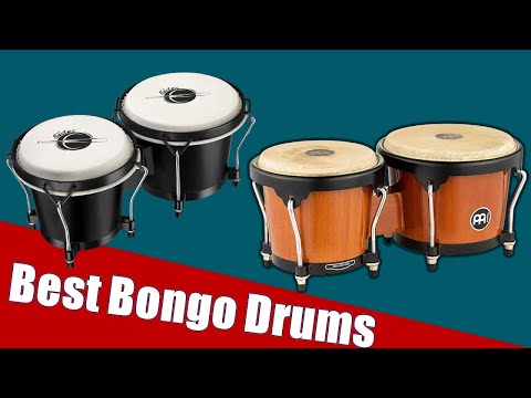 Bongo Drums Reviews : 5 Best Bongo Drums 2021