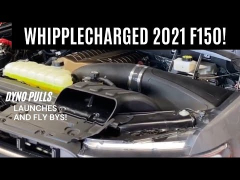 2021 F150 5.0 Tuned - Whipplecharged - Dynopulls