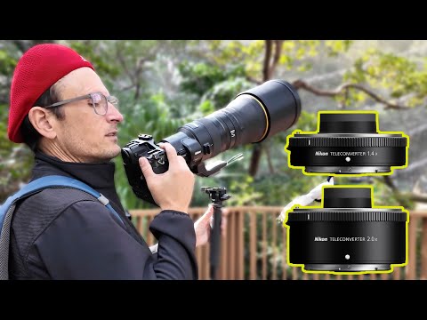 Cropping vs TCs - Testing the 400mm f2.8Z TC + 1.4x 2x TCs